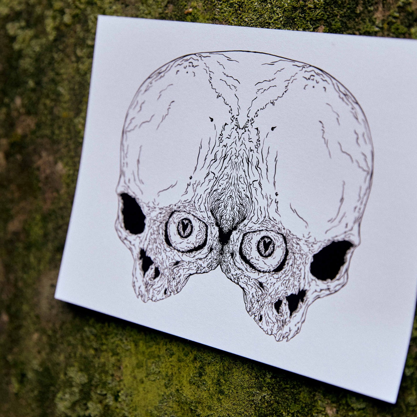 Postkarte "Janusschädel"