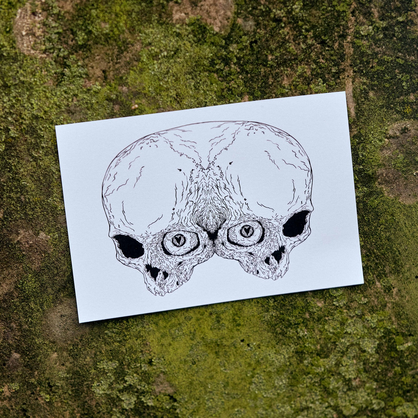 Postkarte "Janusschädel"